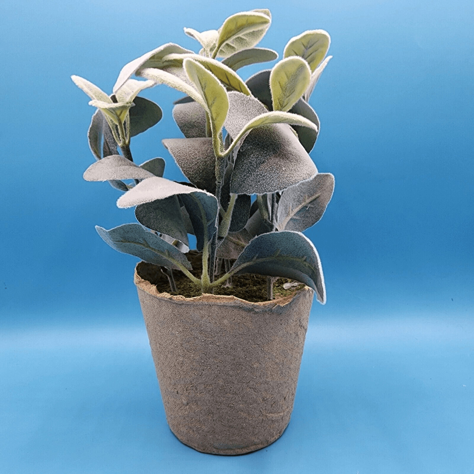 Flocked Lambs Ear Artificial Plant with Moss In Brown Paper Pot 10 inch