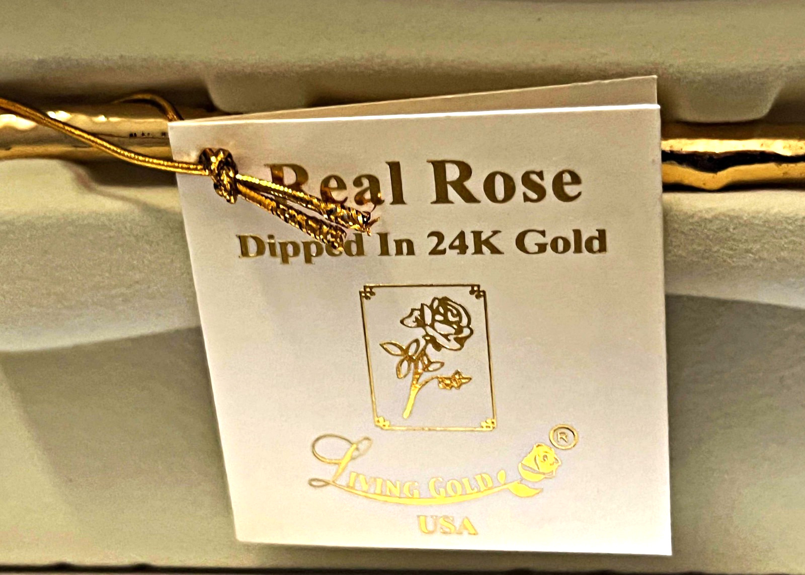24K Gold Dipped Real Rose Handpicked Real Rose Preserved in 24K Gold USA