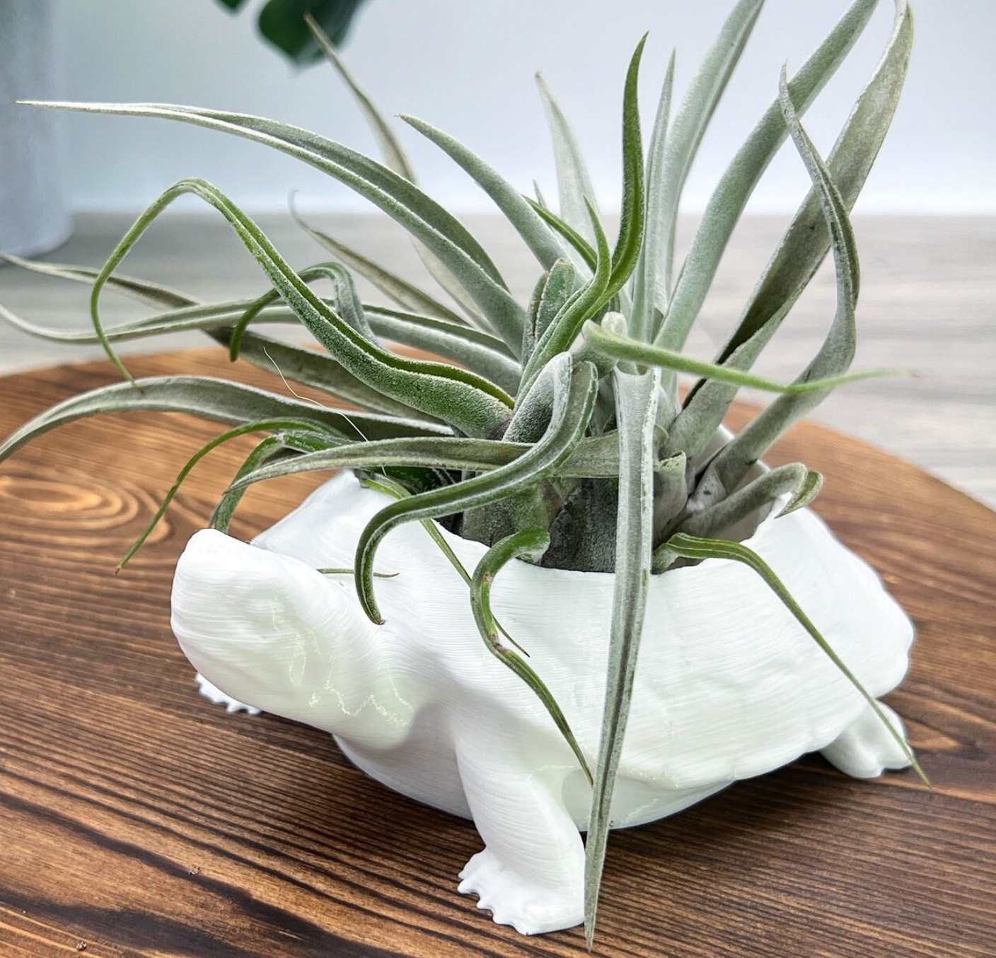 Cute White Turtle Planter – Succulent Plant Pot, Decorative Piece, Indoor Flower