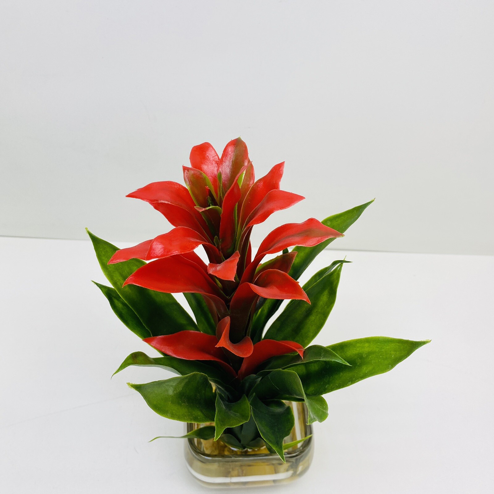 Modern Bromeliad with Glass Vase Arrangement 12″ Red