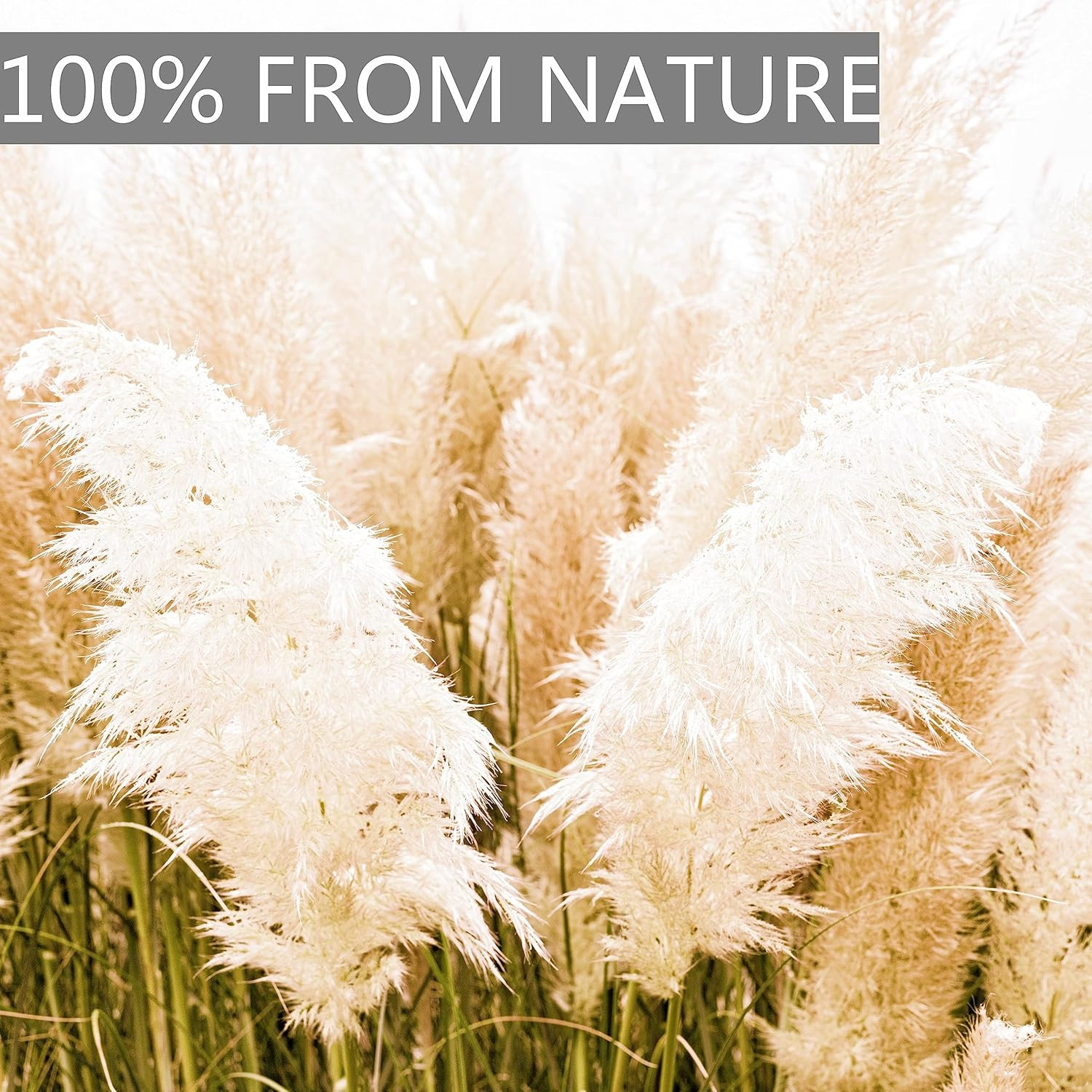 10Pcs 40” Pampas Grass Tall Decor – Pompas Floral, Tall Pampas Grass for Floor