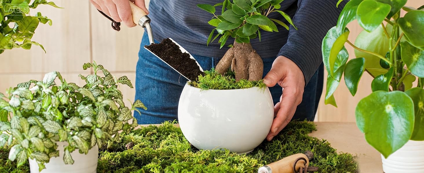 10oz Artificial Fake Green Moss for Crafts Plants Indoor | Includes Gloves