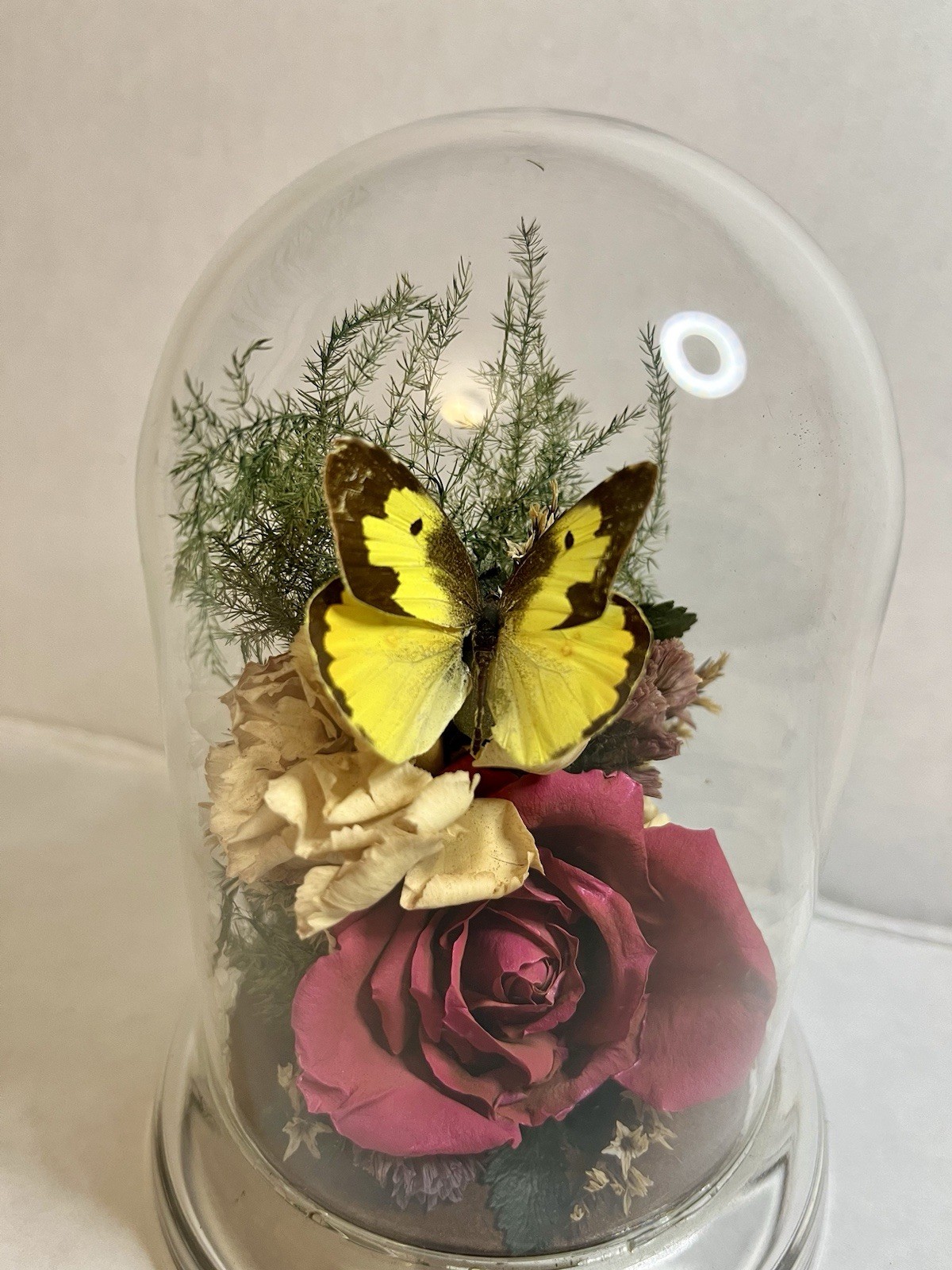 Vintage 90s Natural Expressions Dried Roses Butterfly Glass Terrarium Grannycore
