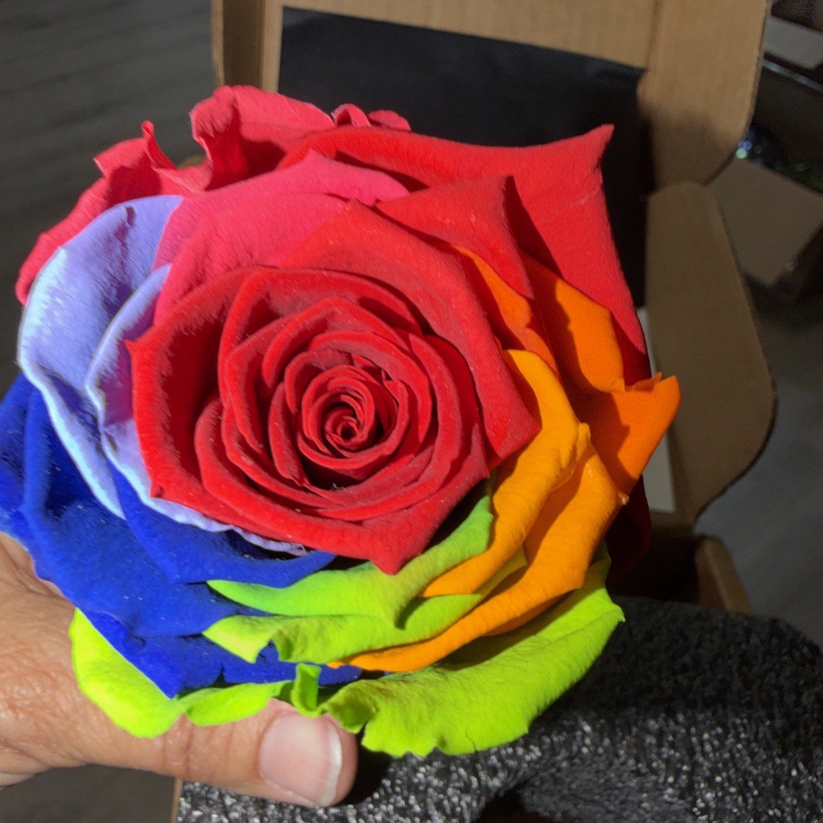 The Royal Rose Miami Preserved Rose New In Box