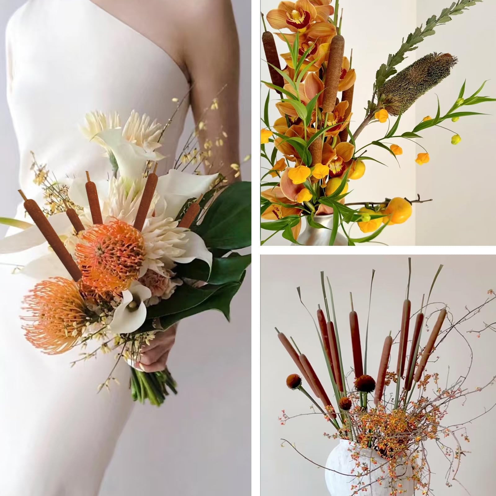 Natural Dried Cattail Flowers 20 PCS Floral Arrangements Fall Decor Brown 17 In