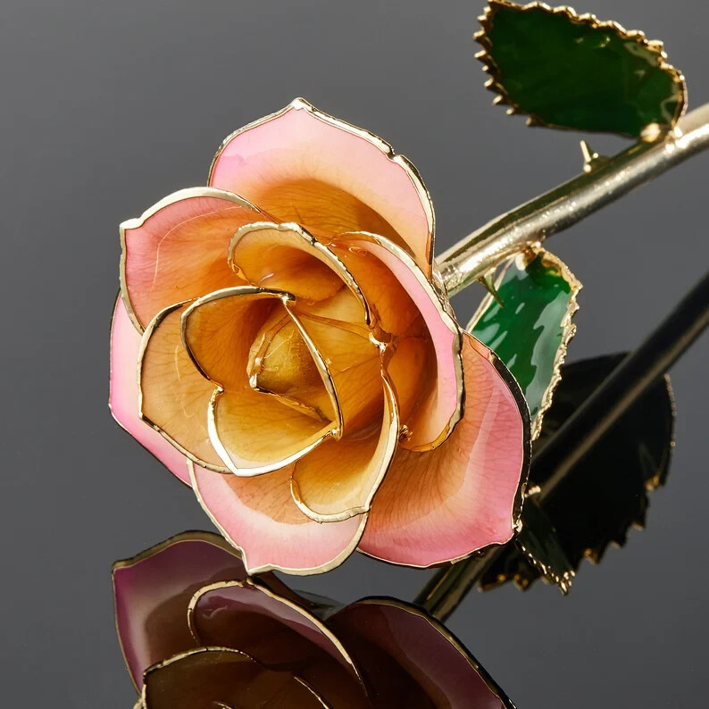Daya- Forever real preserve rose dipped in gold 24k (Cream/Pink)