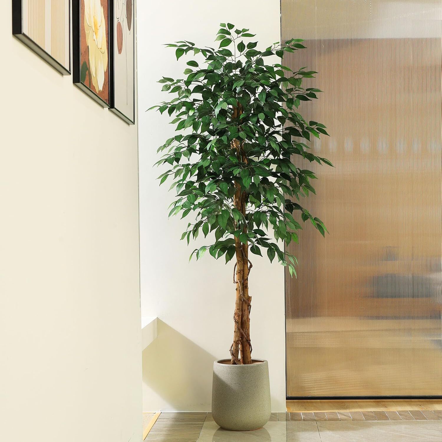 Colourtree Artificial Ficus Tree,Silk Fake Ficus Tree in Plastic Nursery Pot