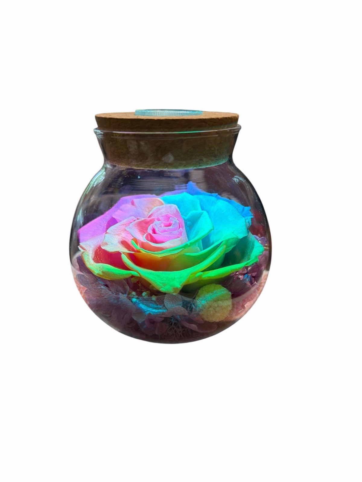 Real Preserved Rose Globe Eternal Rose Multicolor With Light Forever Flowers