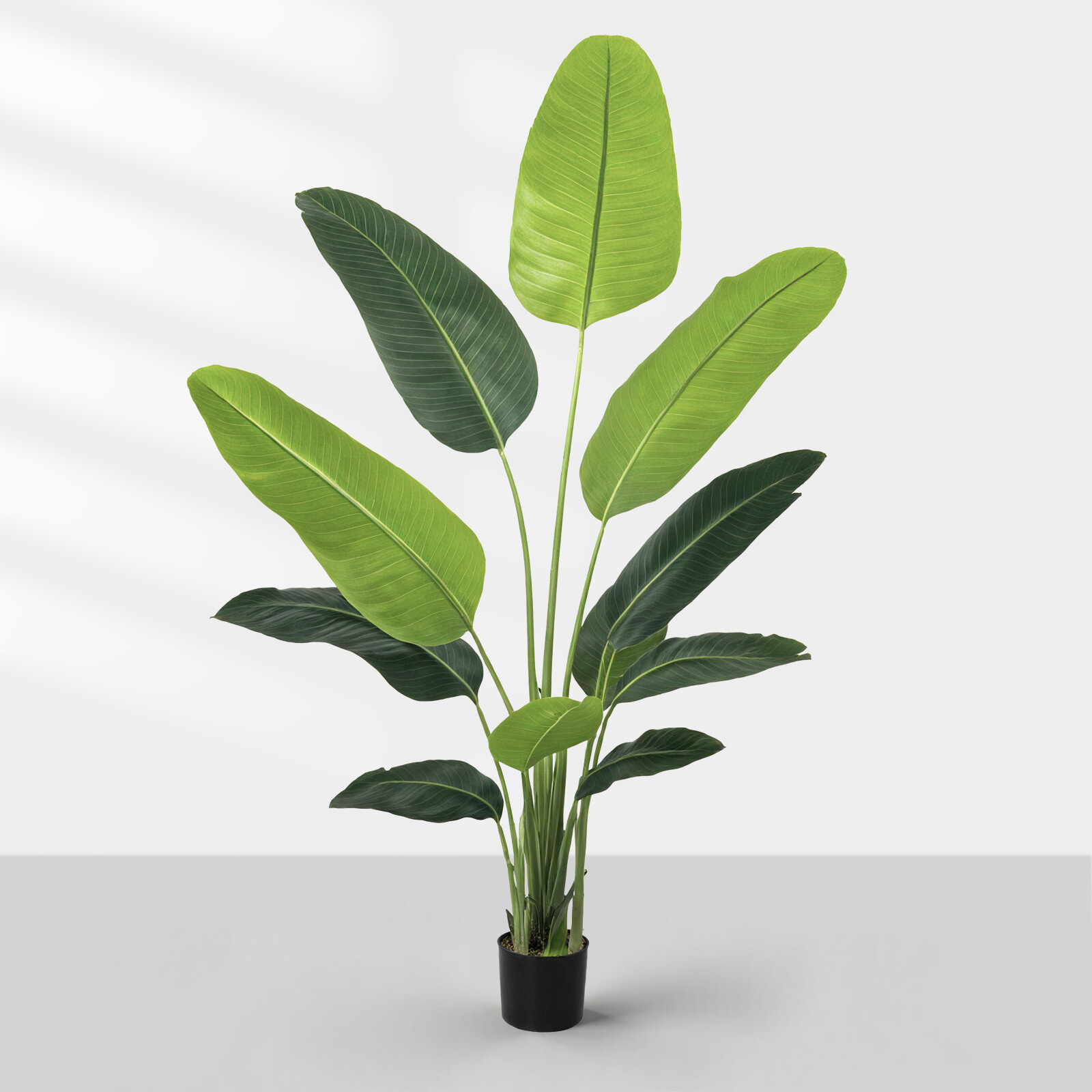 6FT Tall Bird of Paradise Artificial Silk Palm Tree w/ Planter for Office House