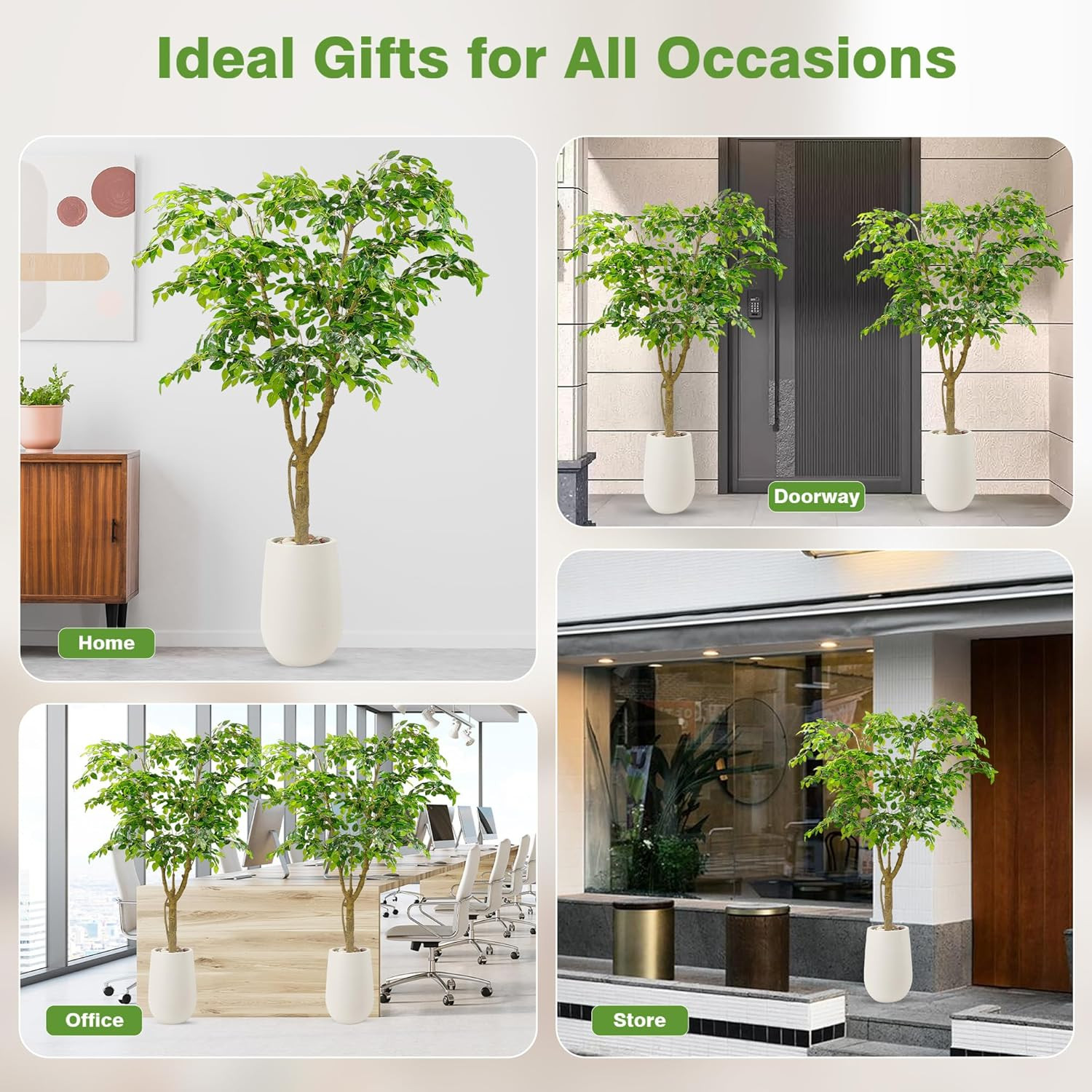 6.5FT Faux Ficus Tree in White Planter – Lifelike Indoor/Outdoor Décor