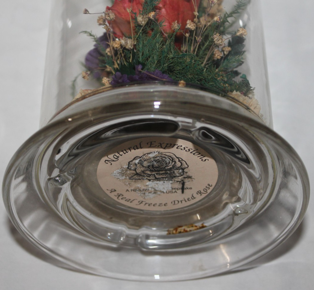 Natural Expressions – Real Freeze-Dried Rose Floral Arrangement in 8″ Glass Dome