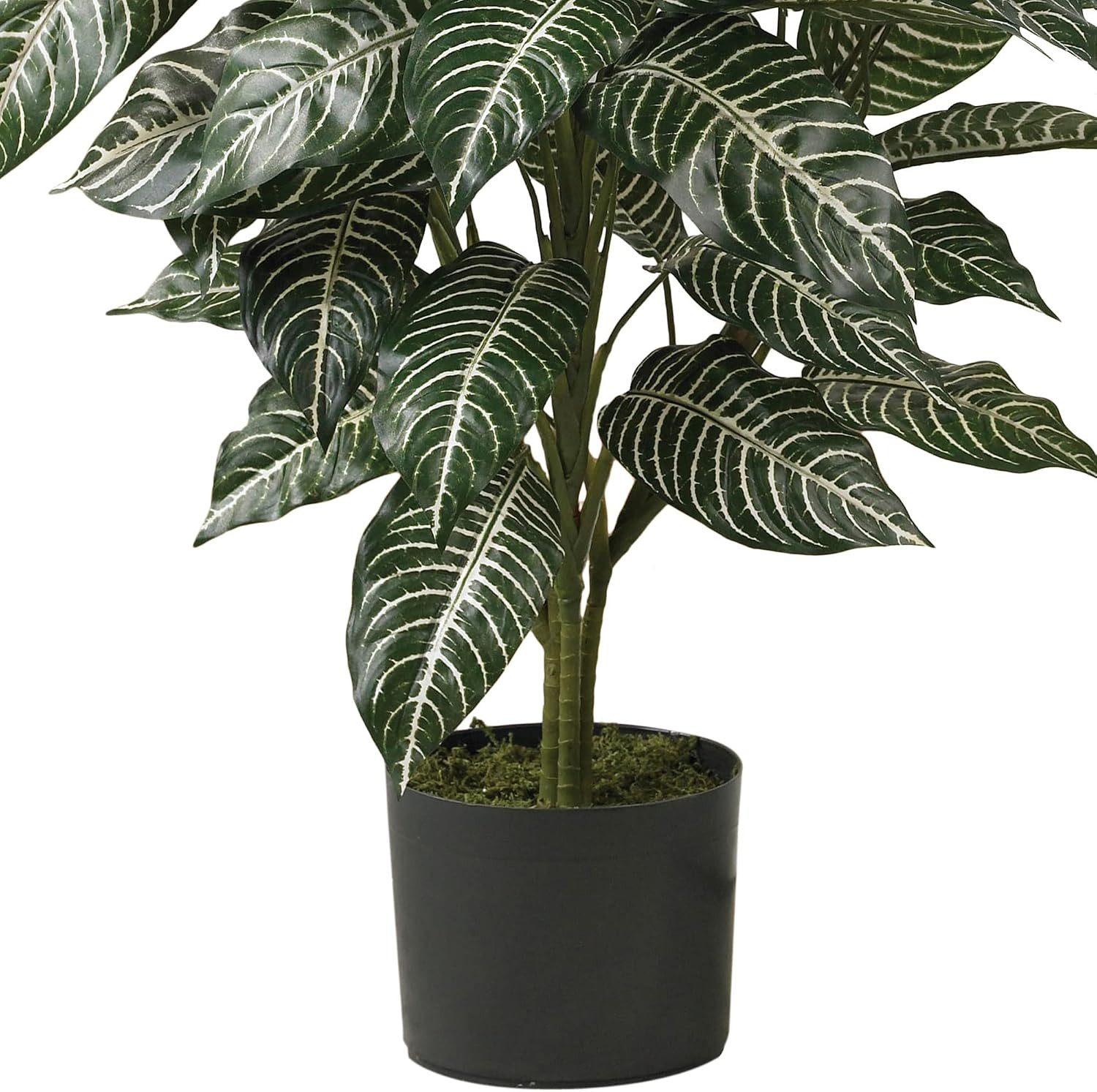 Lifelike 3Ft Zebra Silk Plant – Perfect for Home or Office Decor