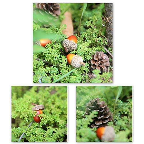 120 Pcs Apol Ornament Set – Natural Pinecones & Artificial Acorns