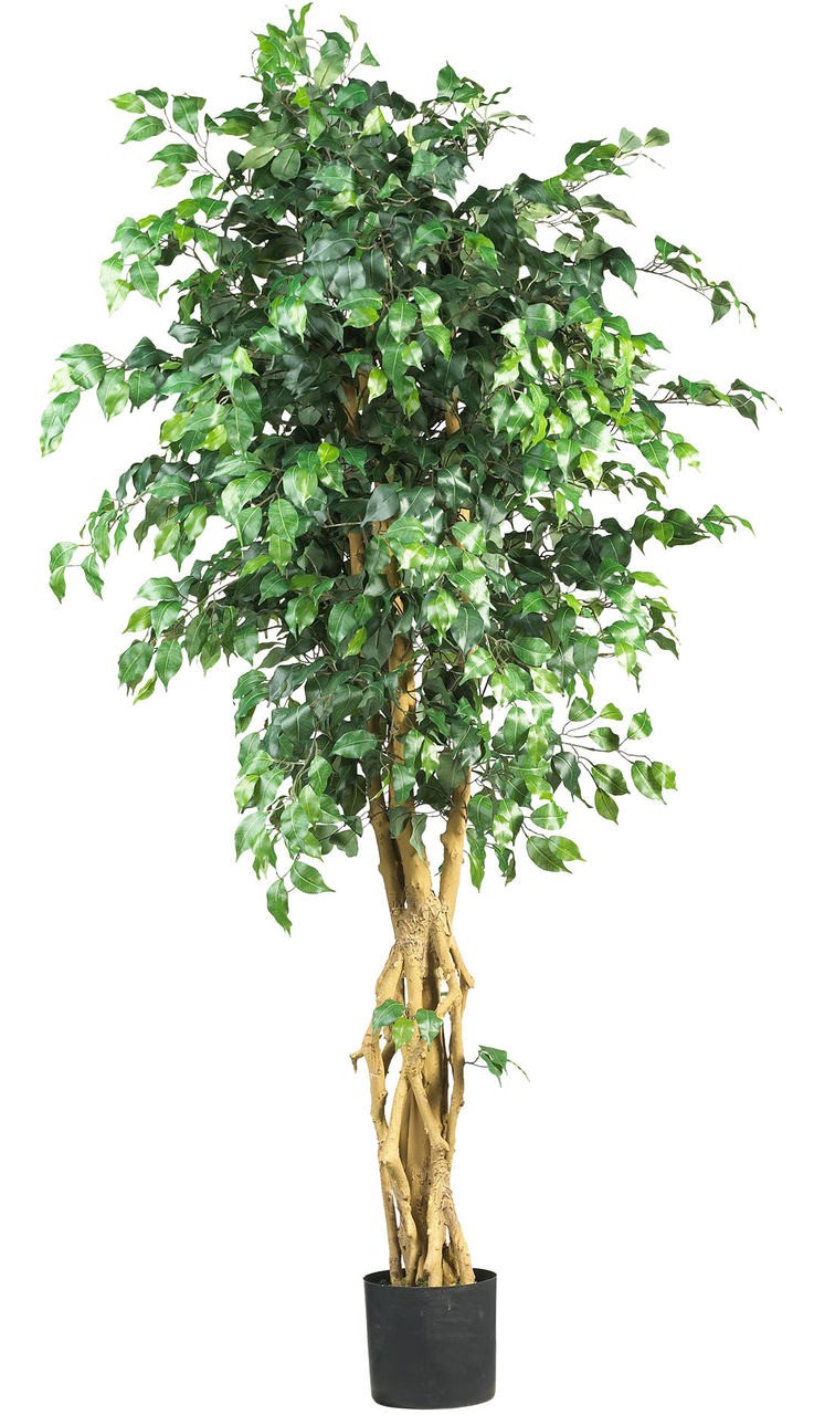 6′ SILK FICUS PALACE STYLE TREE Artificial High Quality Realistic Fake