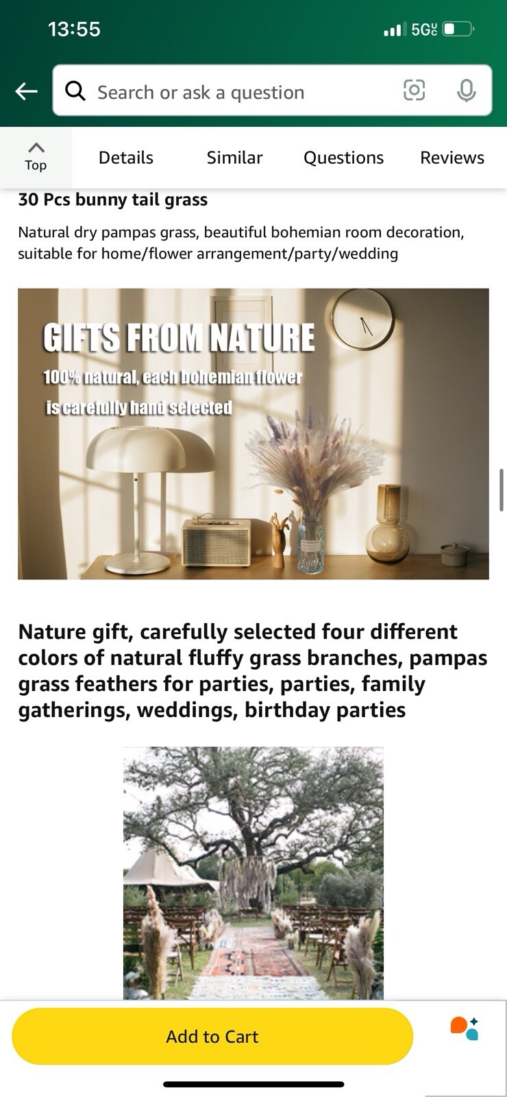Pampas Grass Decor 110 pcs 17.5inch Natural Dried Pampas Grass-15Pcs White Pampa