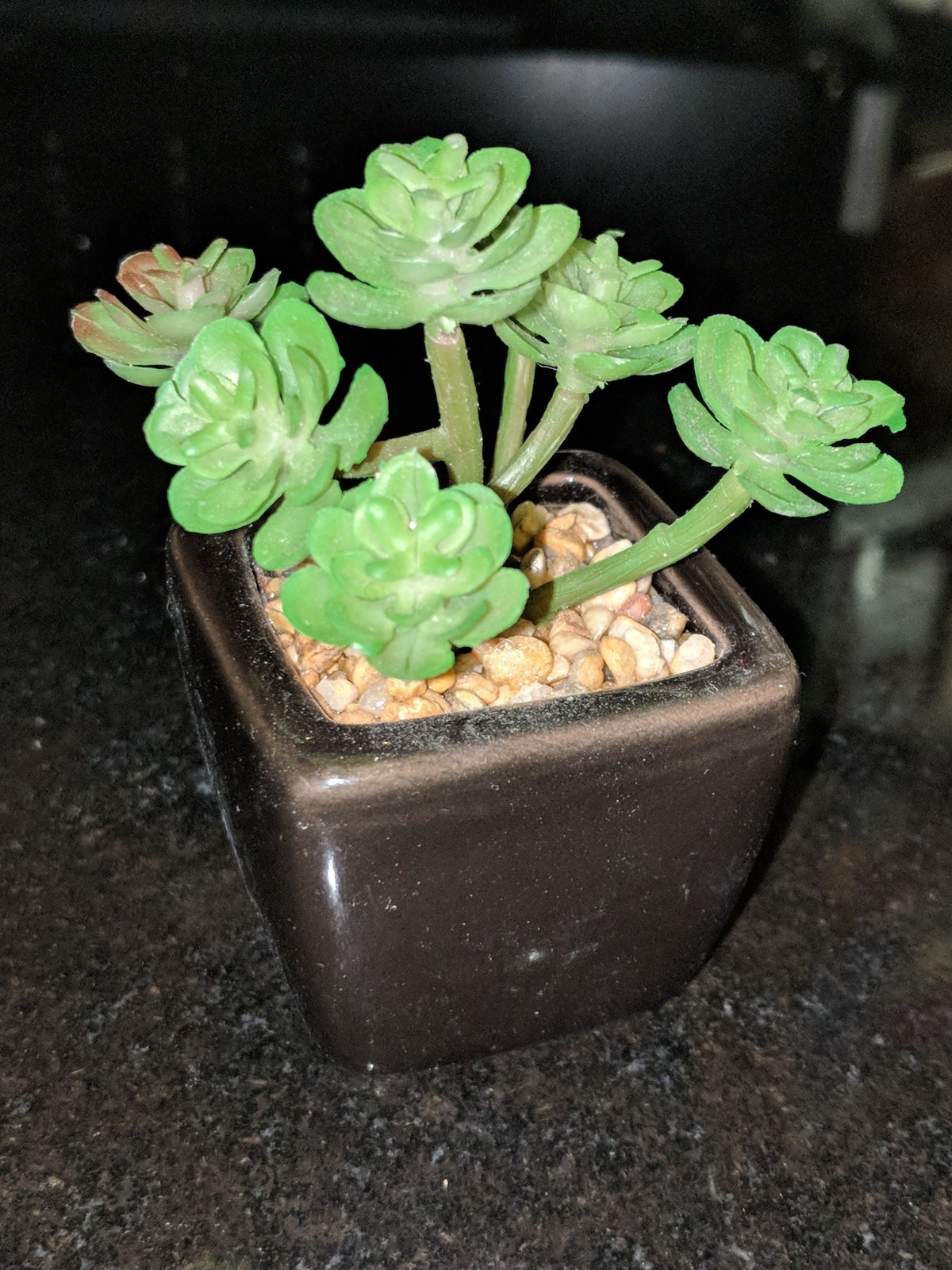 Small Artificial Succulents Black Ceramic Pots 4 PCS