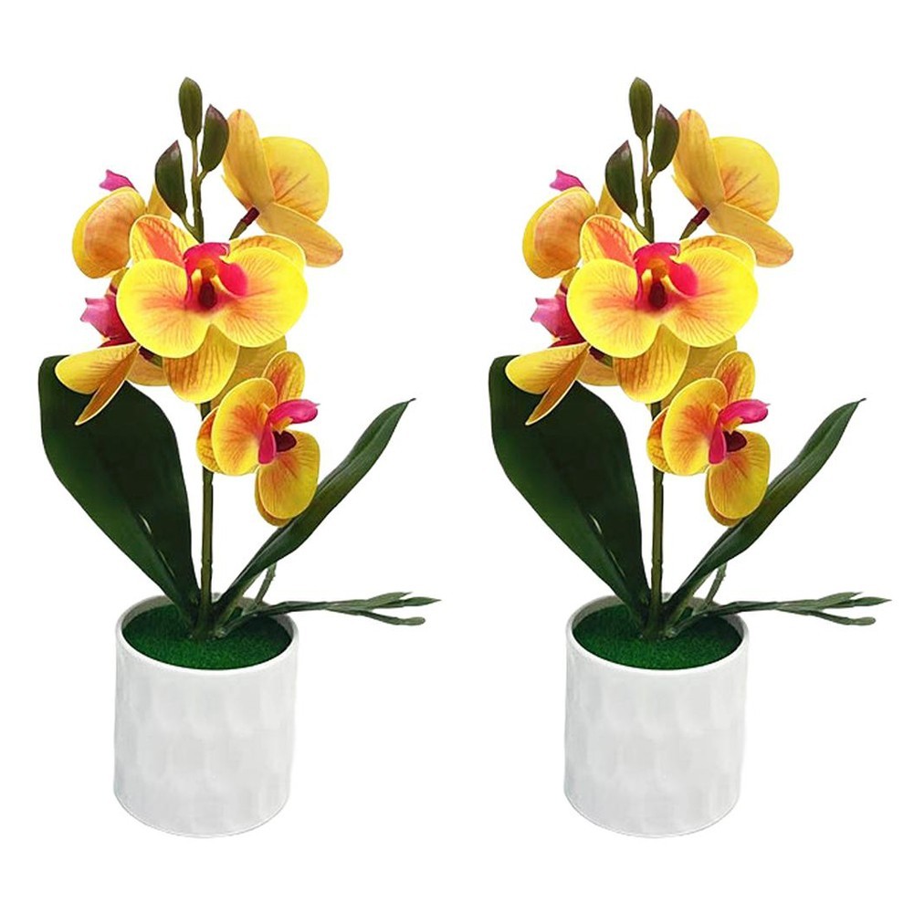 Realistic Phalaenopsis Orchid Potted Flower Set of 6 for Various Spaces