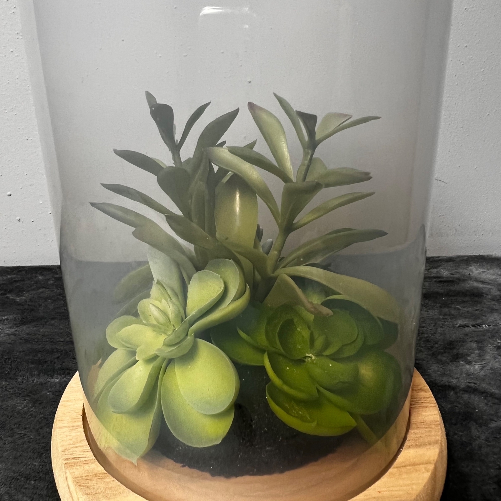 Succulent Terrarium Glass Wood Base Faux Plants Decorative Globe Centerpiece