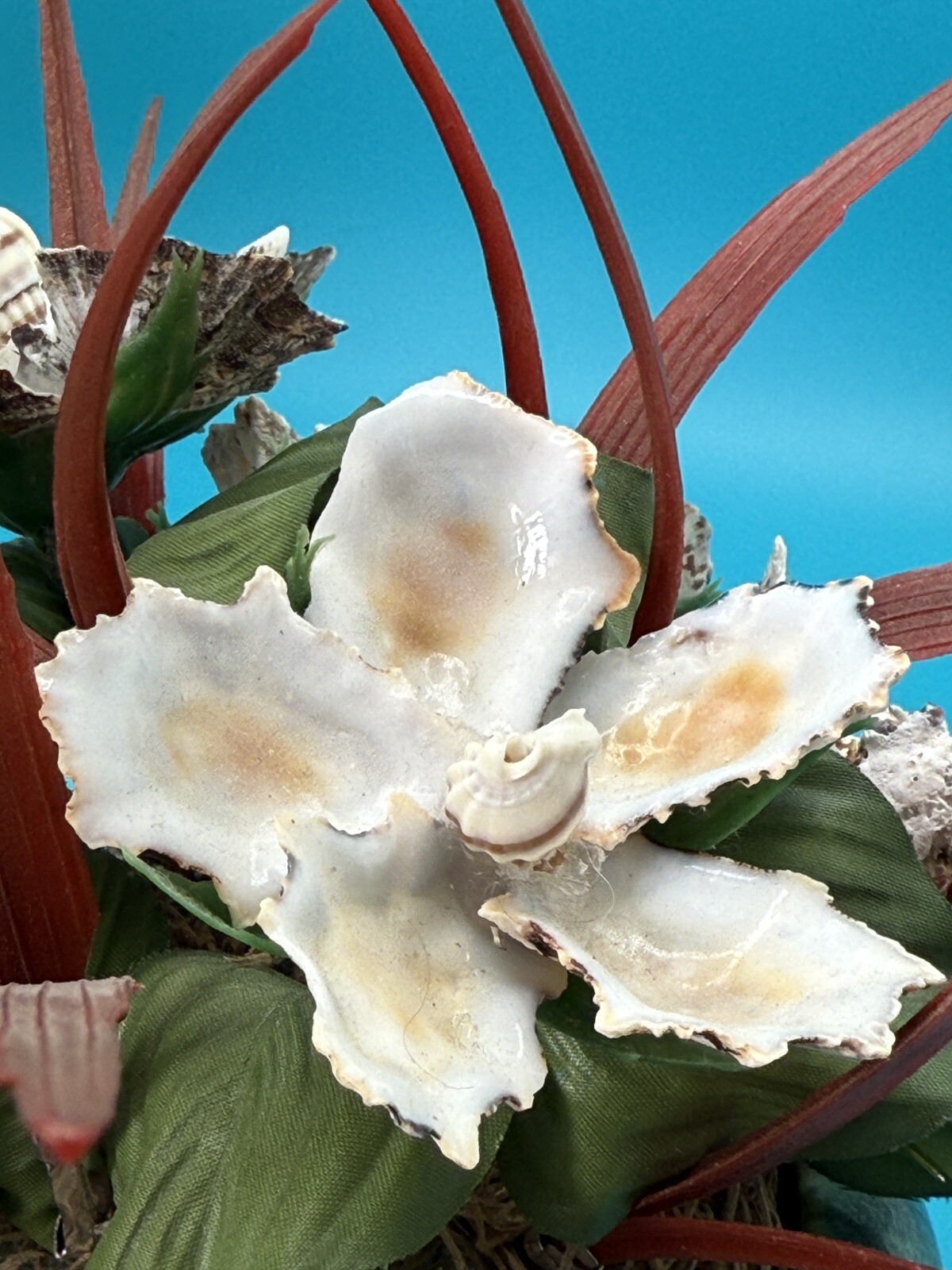 Handmade Seashell Flower Arrangement with Realistic Detailing in Ceramic Base