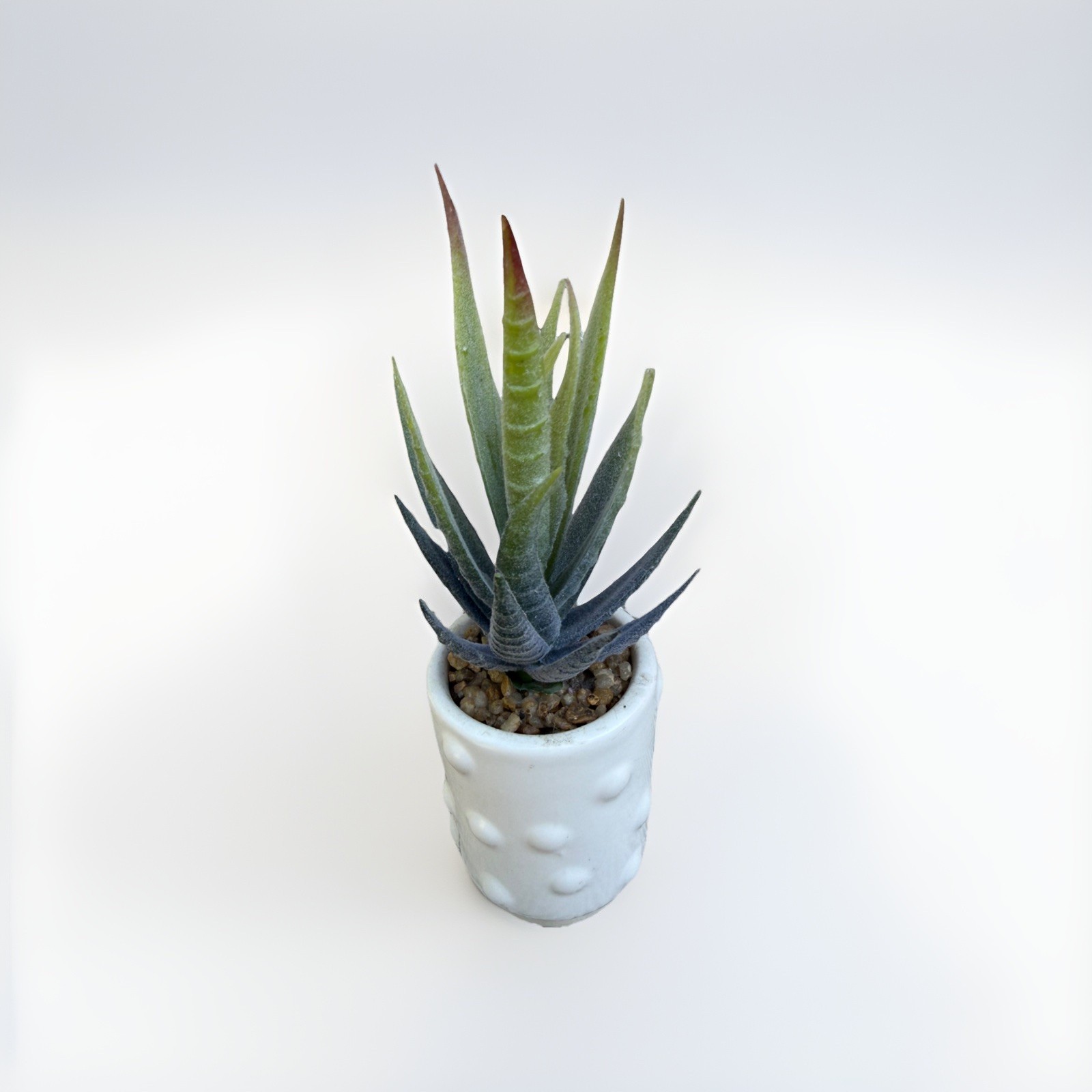 Fake Faux Aloe Plant Decor Small Scrape Hobnail vase 6” Greenery succulent