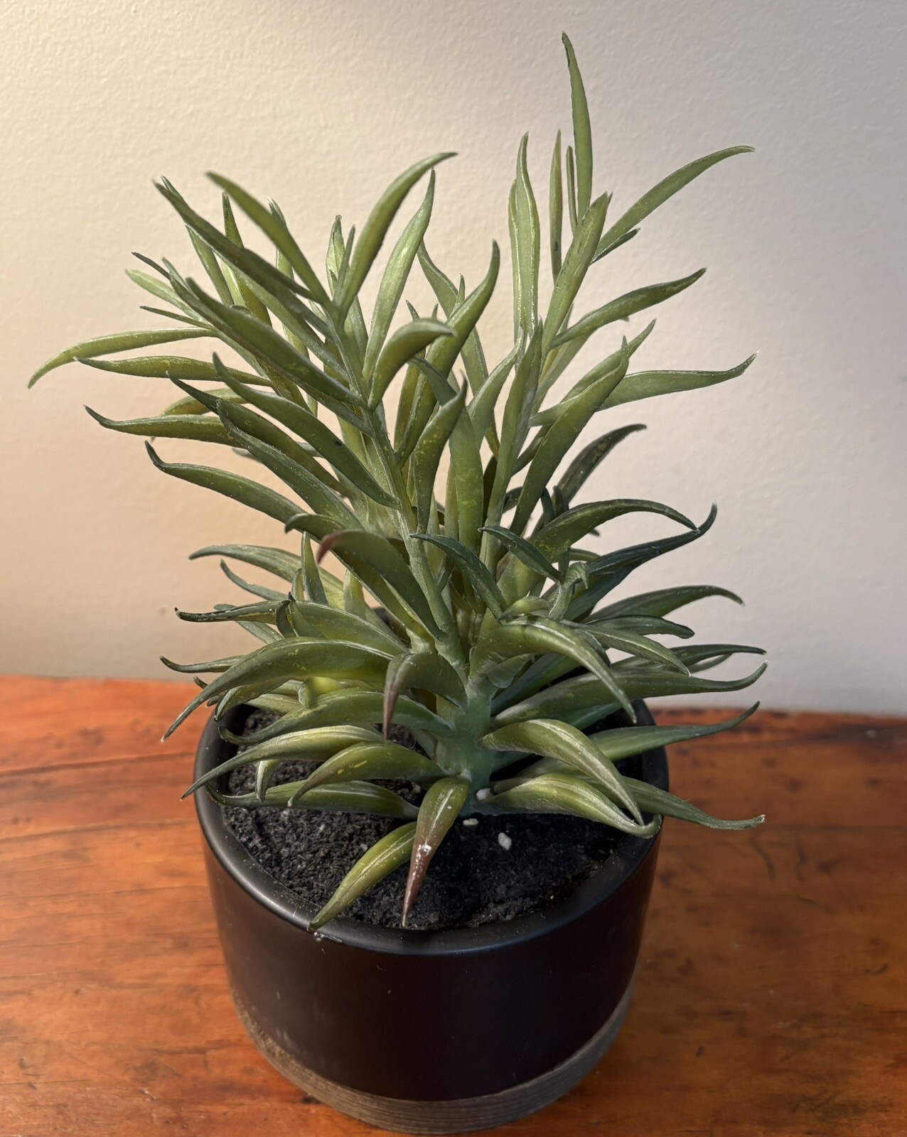 Threshold Potted Faux Succulent Plant Indoor Plant Porch Decor