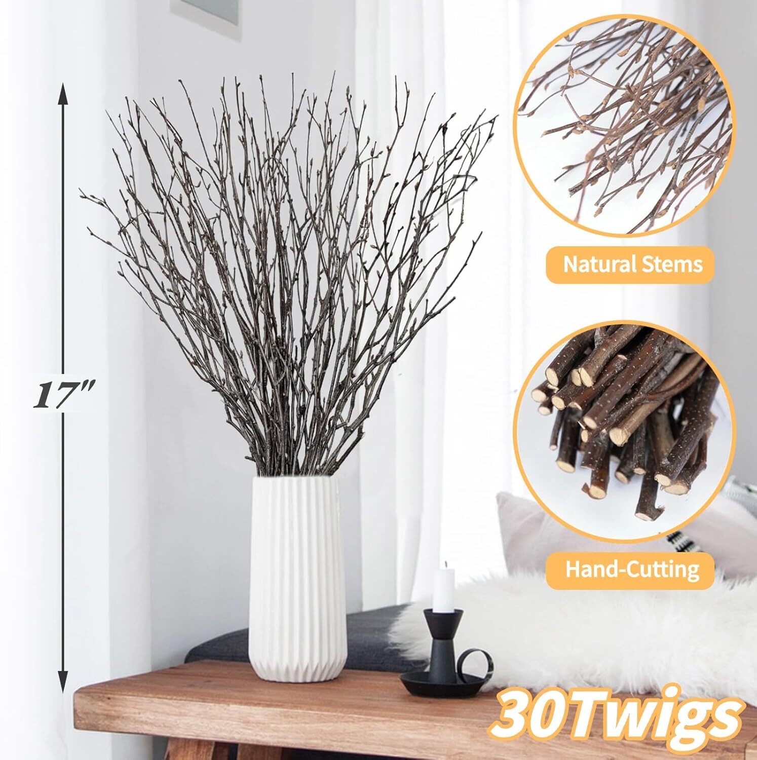30Pcs Real Dried Birch Twigs 17 Decorative 100% Natural Birch Branches for