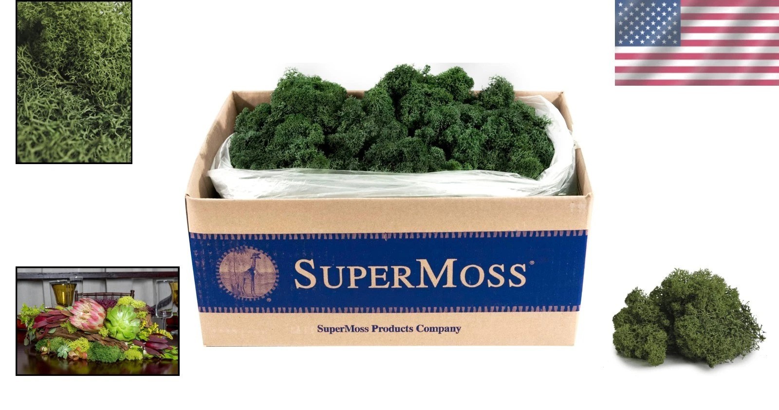Sustainably Sourced Reindeer Moss 3lbs Forest Green – Vibrant, Soft Texture