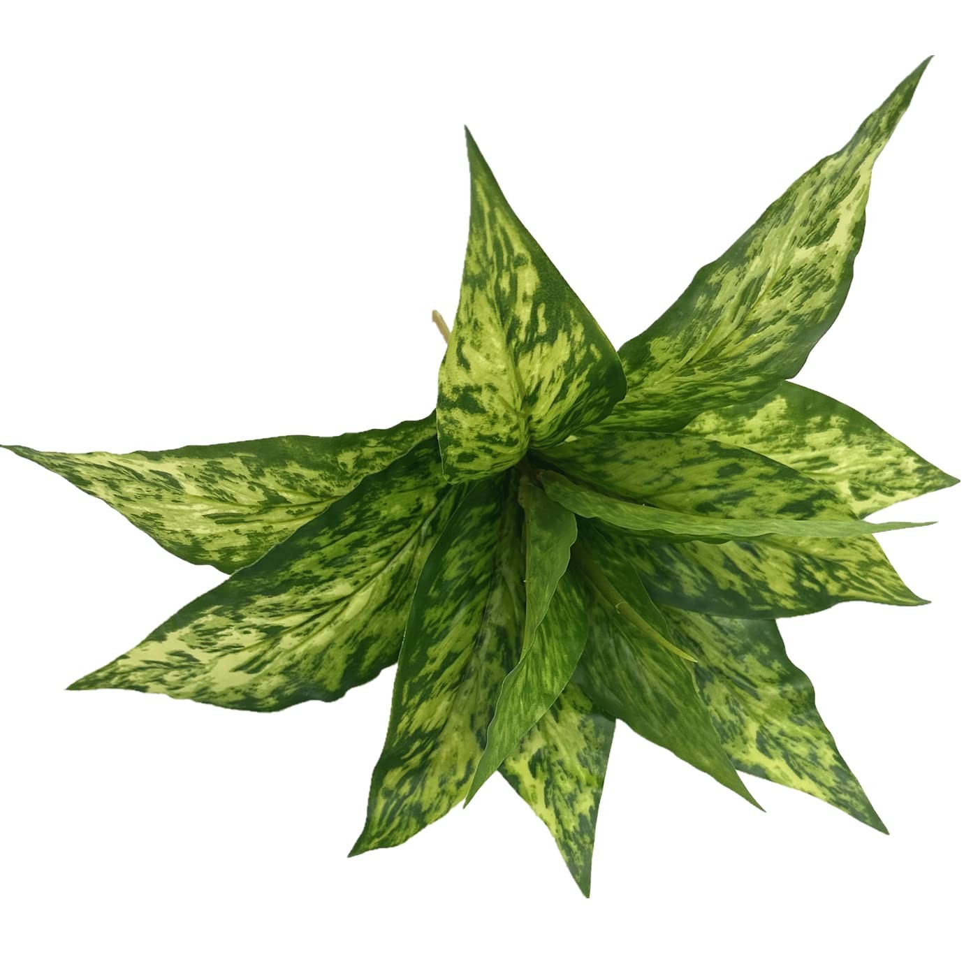 Artificial Agave Fake Plants, Faux Shrubs Grass Bushes Plant Plastic Flowers …