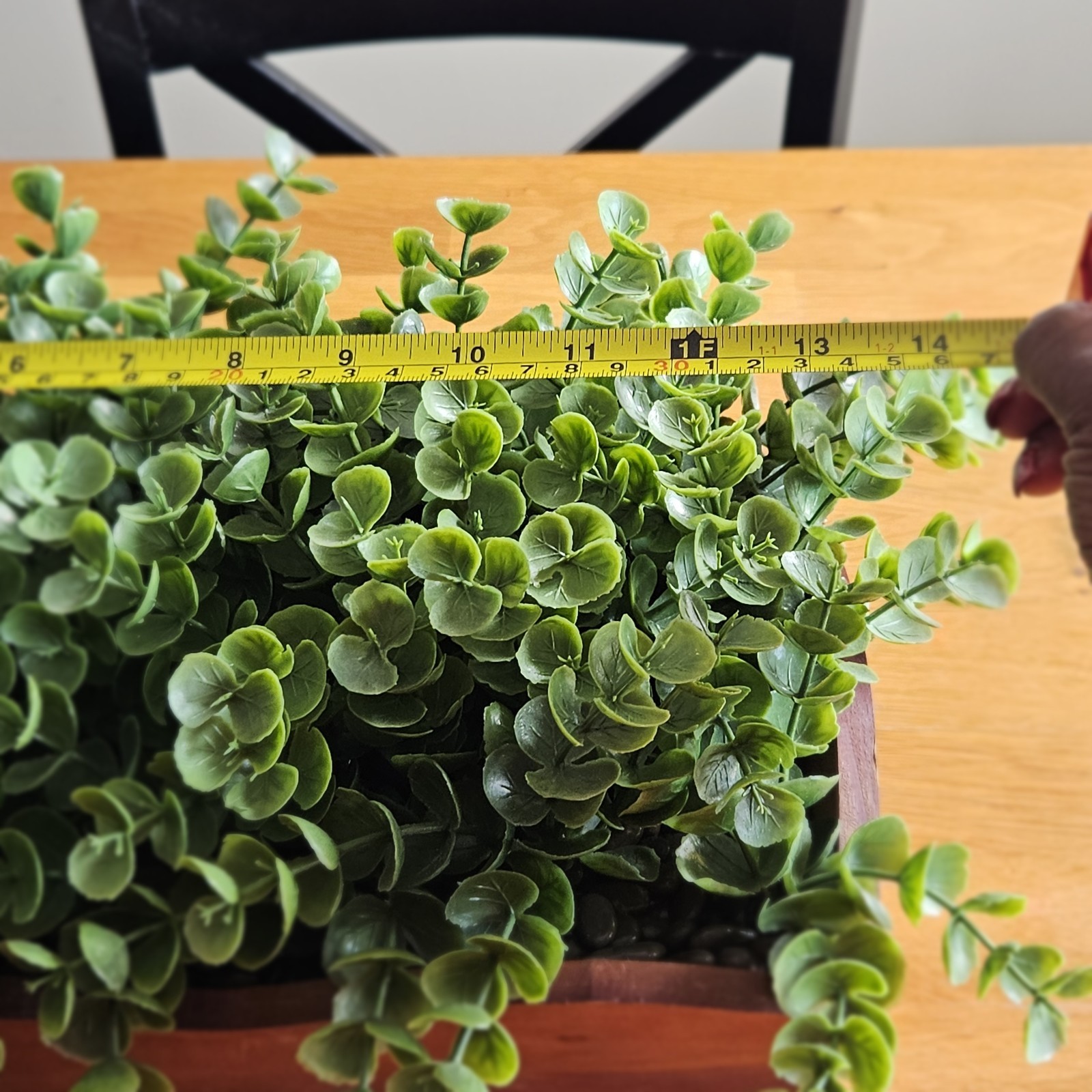 Faux Eucalyptus Boxwood with Cascading Leaves
