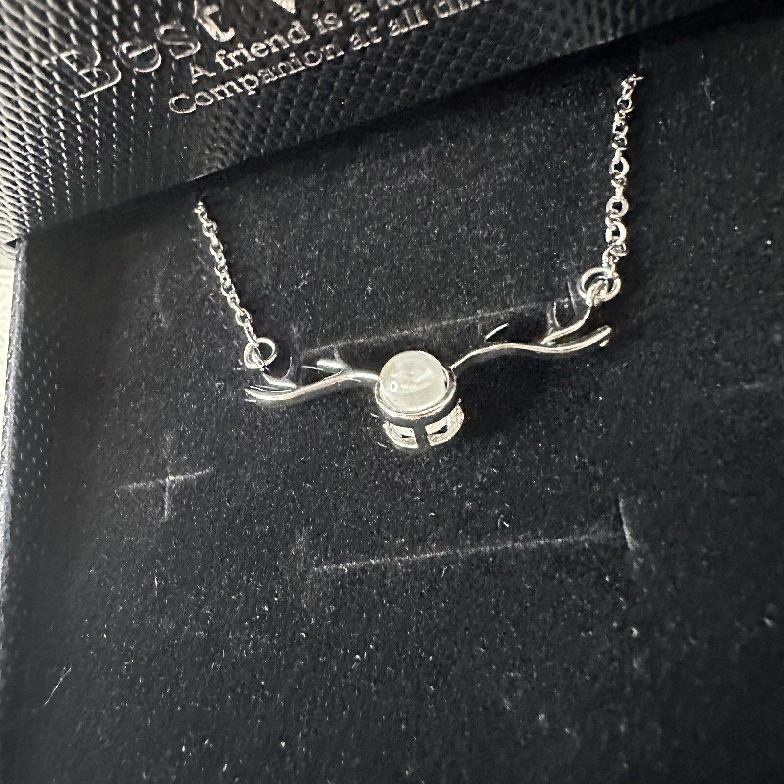 REAL Preserved Eternity Forever Rose Luxury Box Holiday Wedding Gift & Necklace