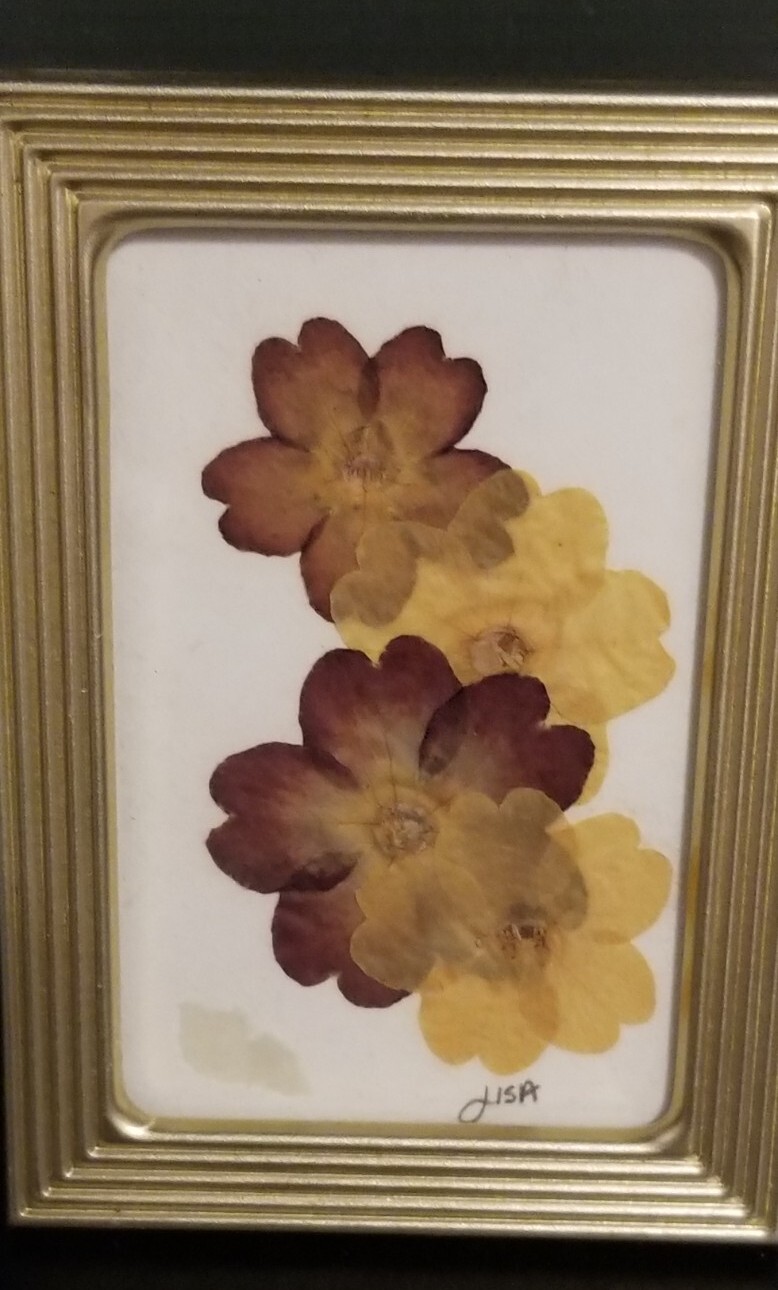 Small 2 3/8″ X 3 3/8″ Press Dried Flower 2 Burgandy Yellow green Framed FF25