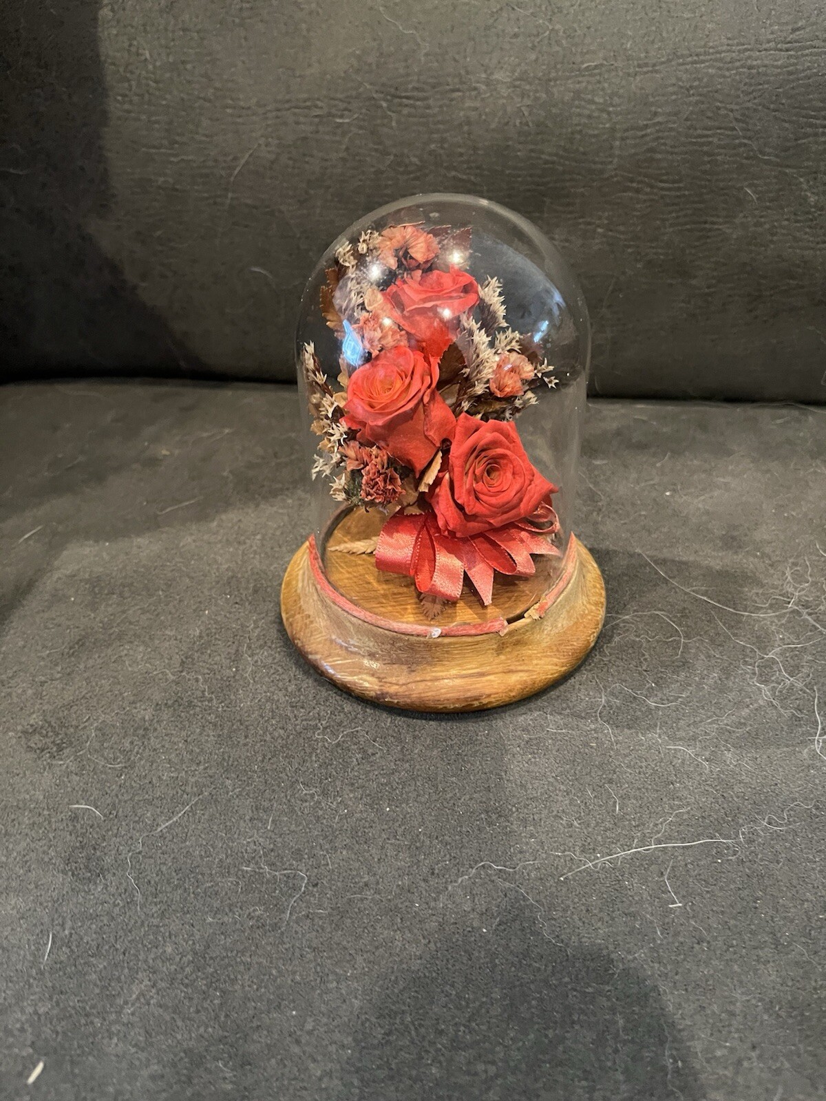 Roses Under Glass Dome Kk12