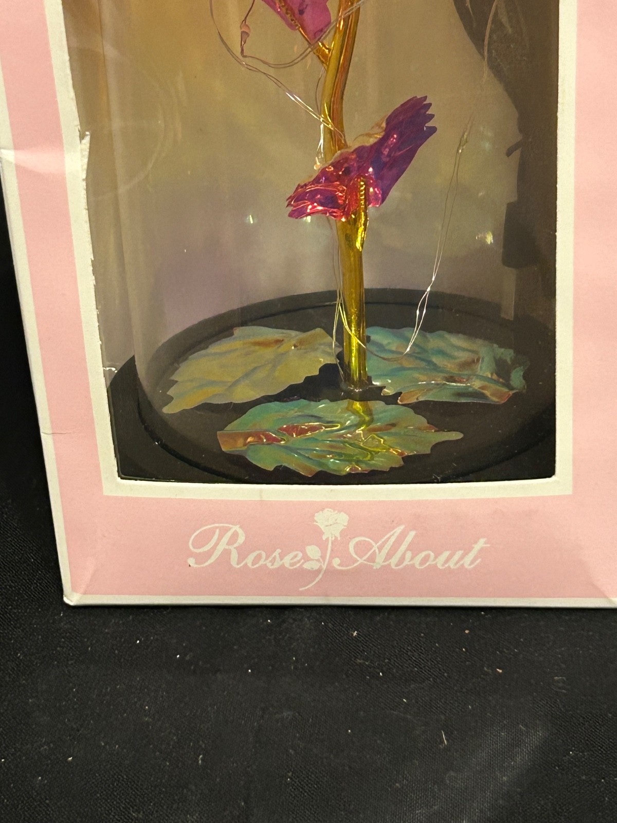 Rose About LED Light Up Encased Rose