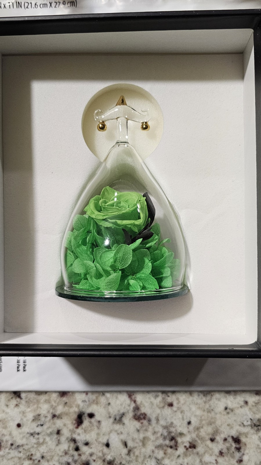 Hoomna Zodiac Green Forever Rose Gift Preserved Real Rose Libra Gift For Her