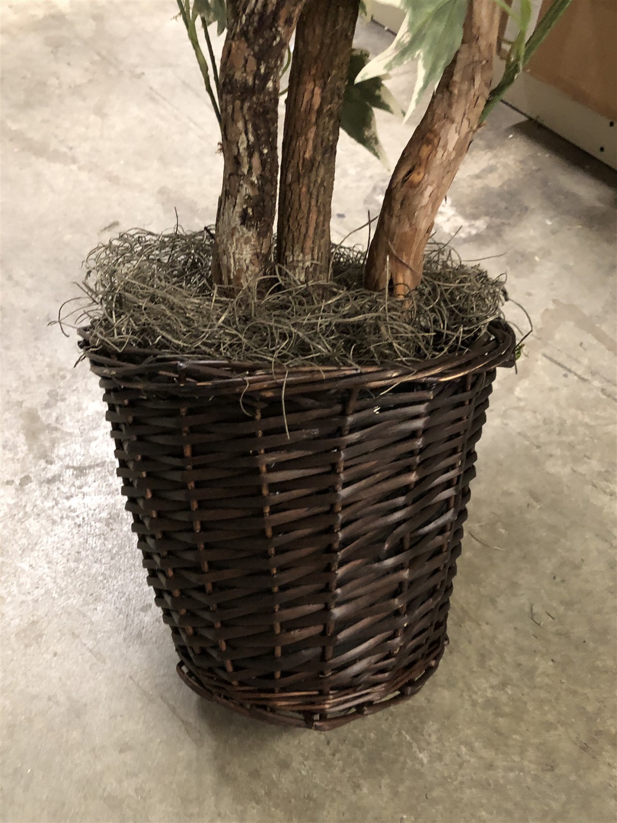 Vickerman TXX1640 4 ft. Silver Maple Extra Full