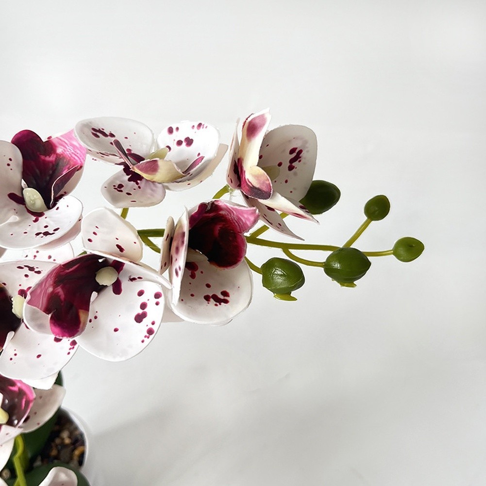 Faux Phalaenopsis Orchid Silk Flower Centerpiece Dust Resistant 12-bloom Design