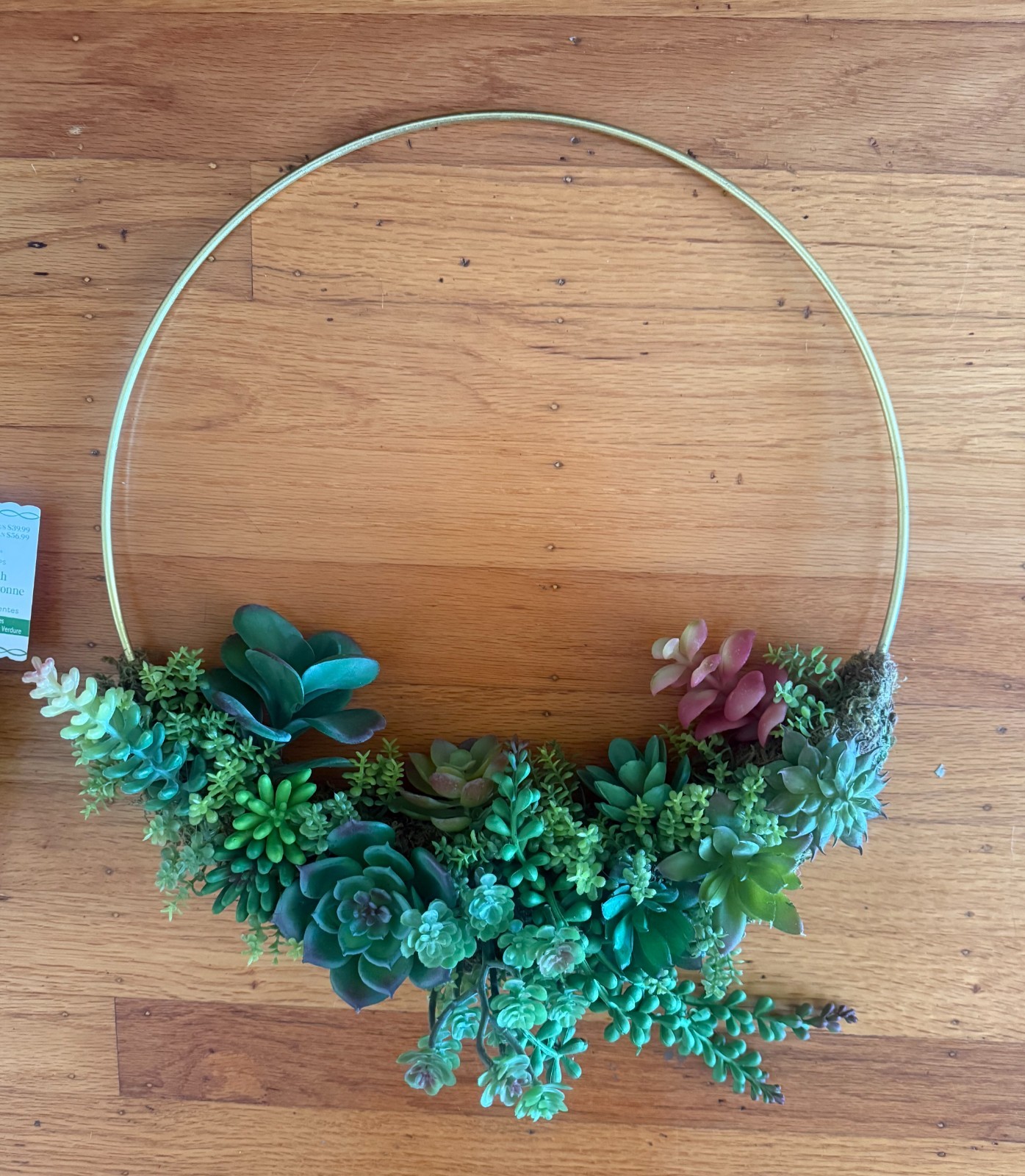 TWO (2) NWT Succulent Wreaths – ASHLAND brand (Michael’s)