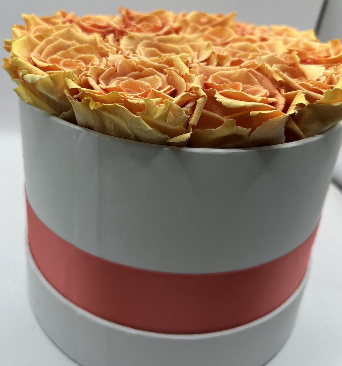the million roses