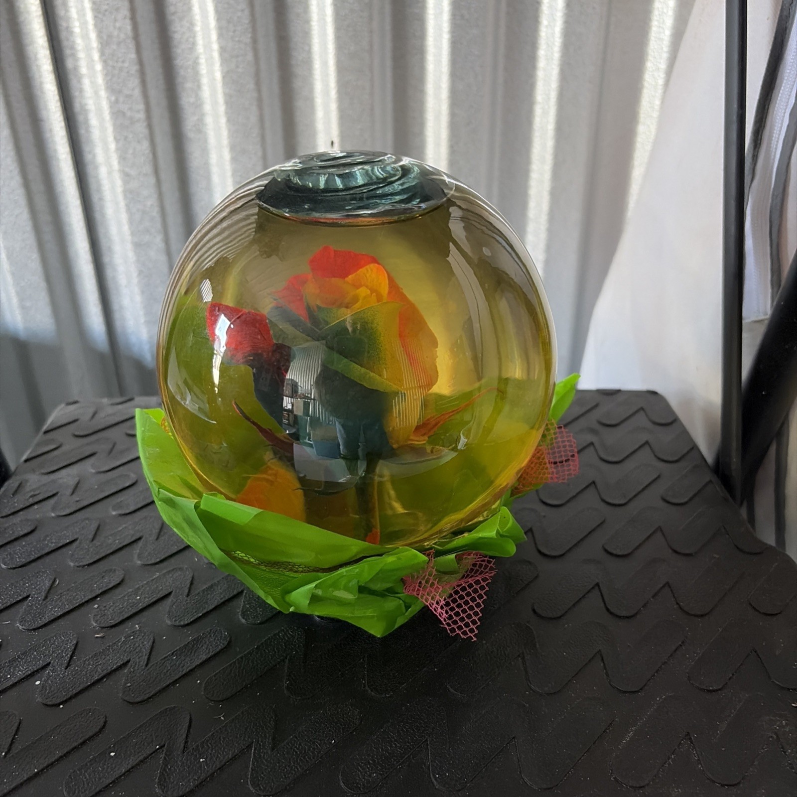 Vintage Preserved Real Multi Colored Rose in a Glass Dome Globe – Large 7″