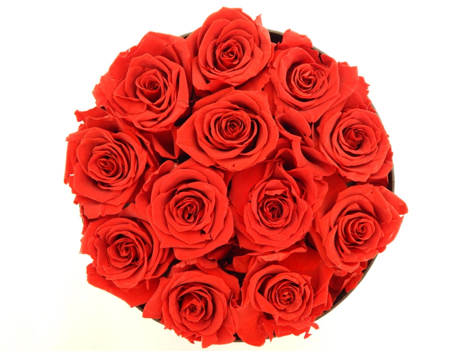 VLove® Forever Preserved Roses in a Box Real Forever Flowers Eternal Rose Red