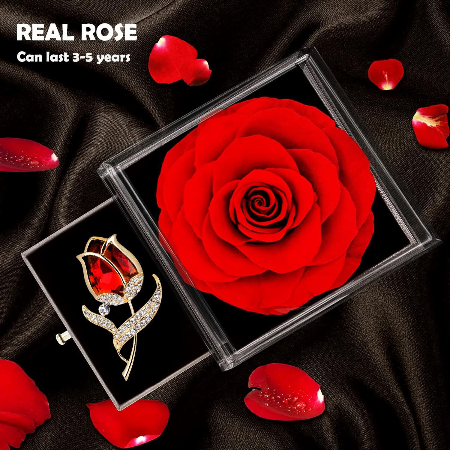 Preserved Red Rose Gift Box- Enchanted Real Roses with Ruby Brooch, Eternal Rose