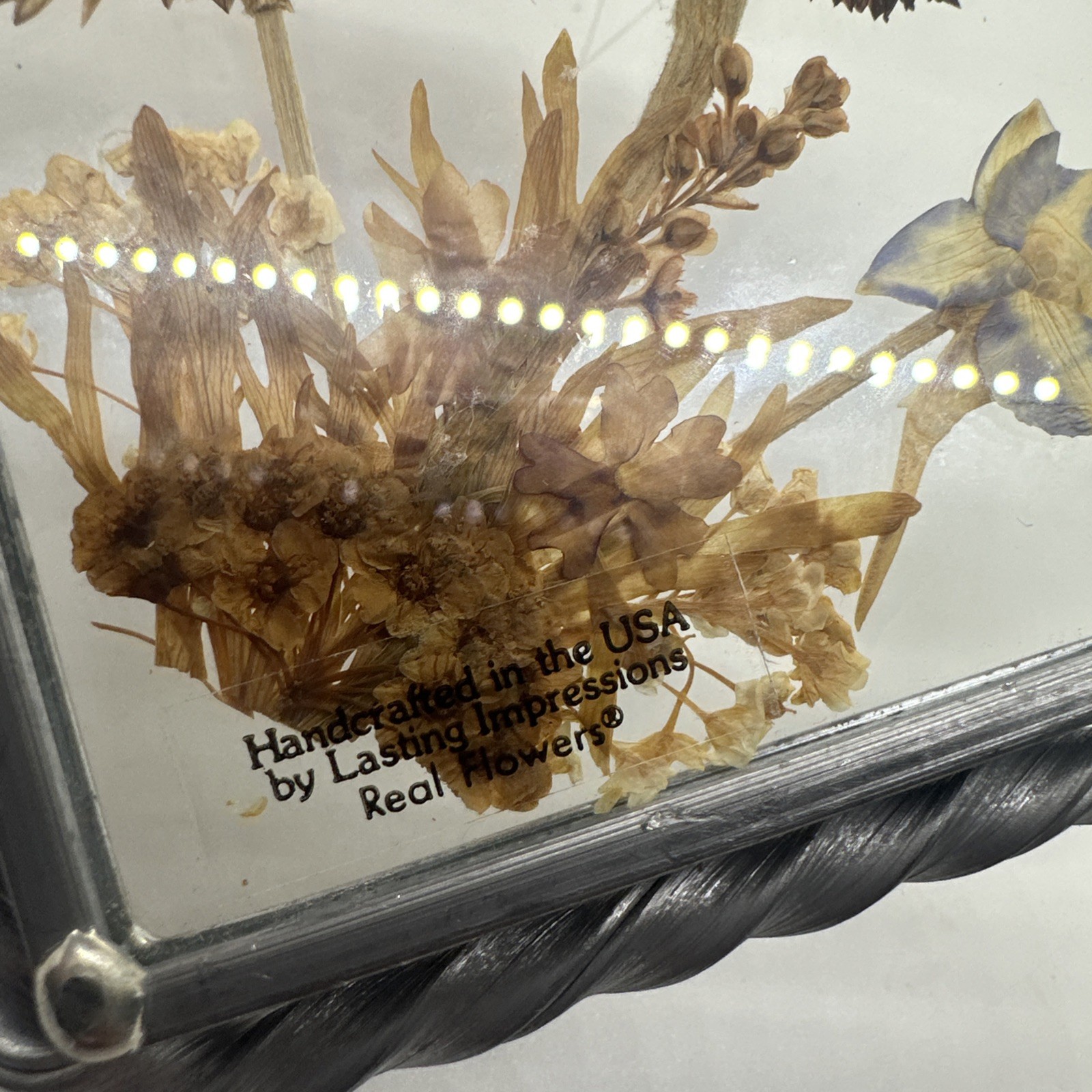 Dried Pressed Flowers Framed Glass Vintage Hanging Decor Lasting Impressions USA