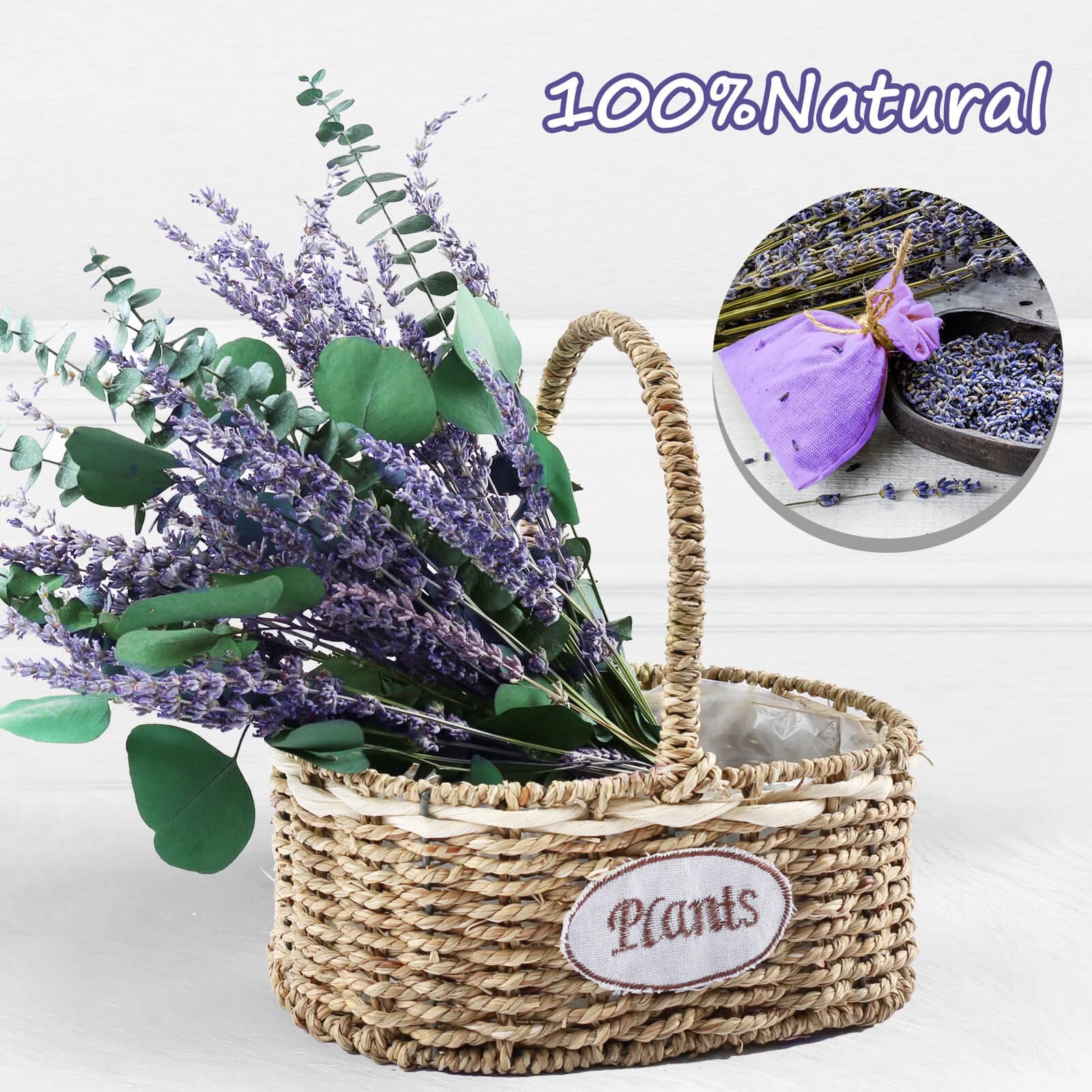 80 PCS Large Dried Preserved Eucalyptus Stems & Lavender Flowers Bundle for S…