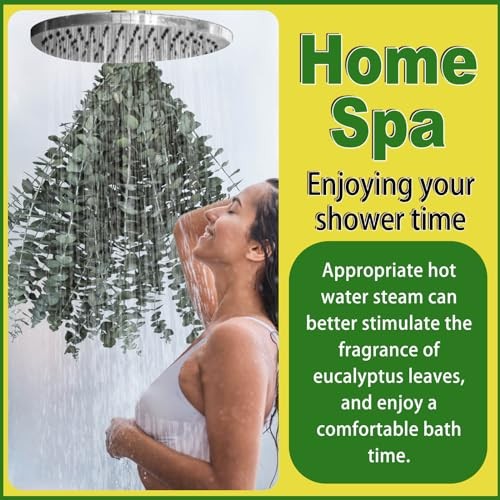 11 PCS Dried Eucalyptus Stems 17″ Natural Preserved Leaves for Shower Bathroom