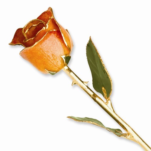 Burgundy and Pink Rose 24K Yellow Gold Trimmed Lacquered Long Stem Rose 12″