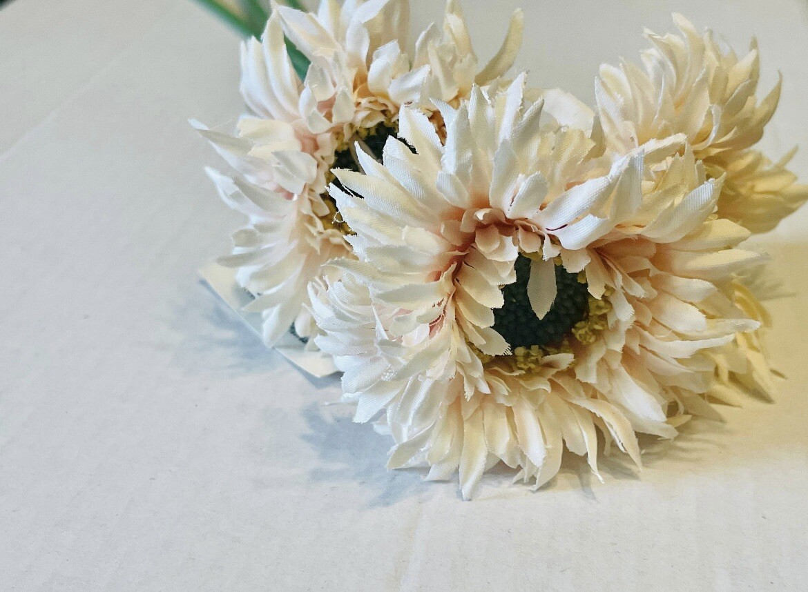 Triple Gerbera Daisy Bouquet, Cream Pink NEW