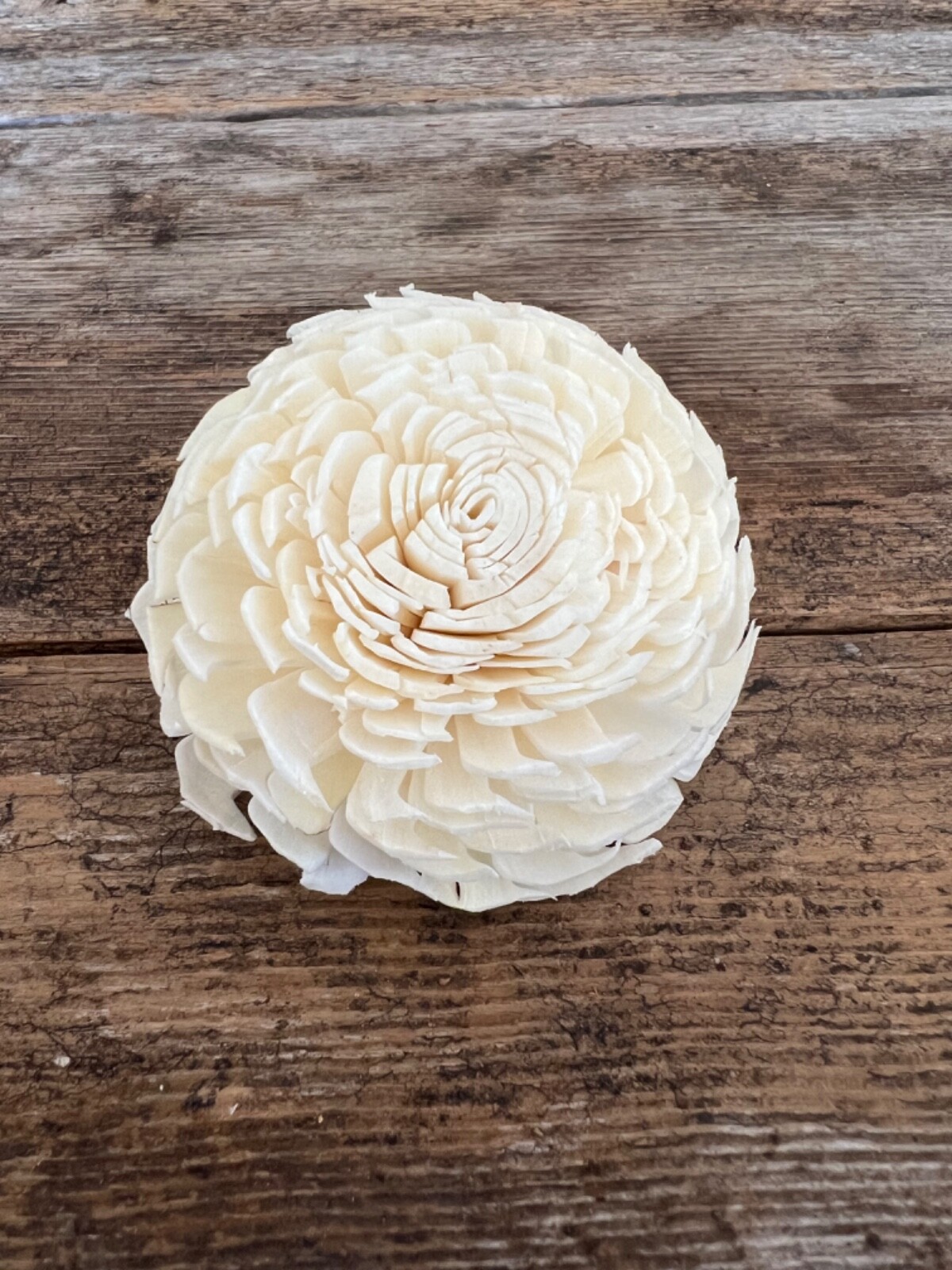 Chorki Belly Sola Wood Flowers – Set of 50 – Craft Flowers