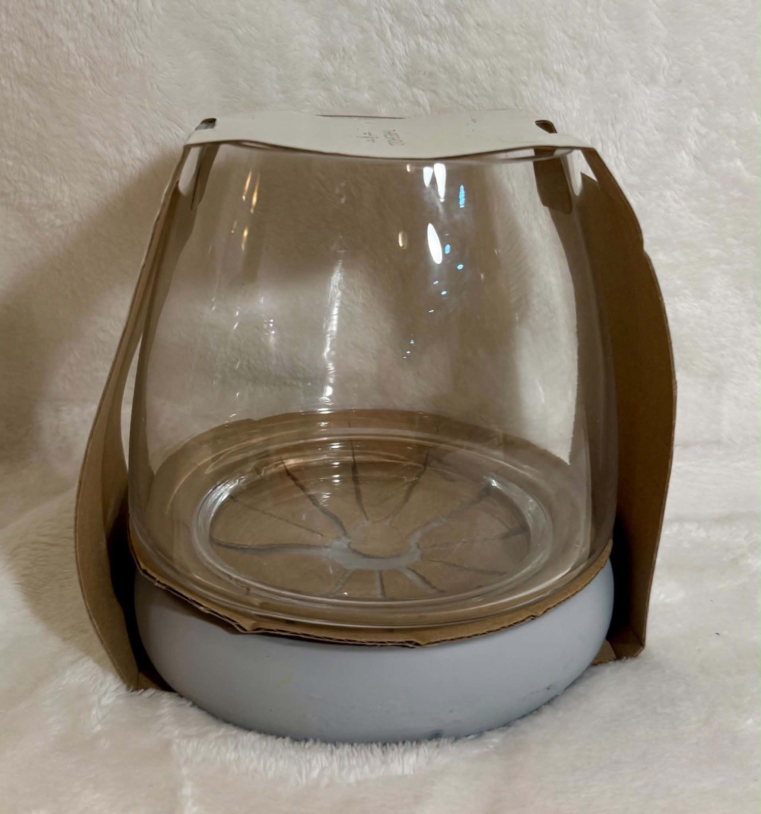 Threshold Round Glass Terrarium w/ Cement Base Indoor Outdoor 5.75″ New