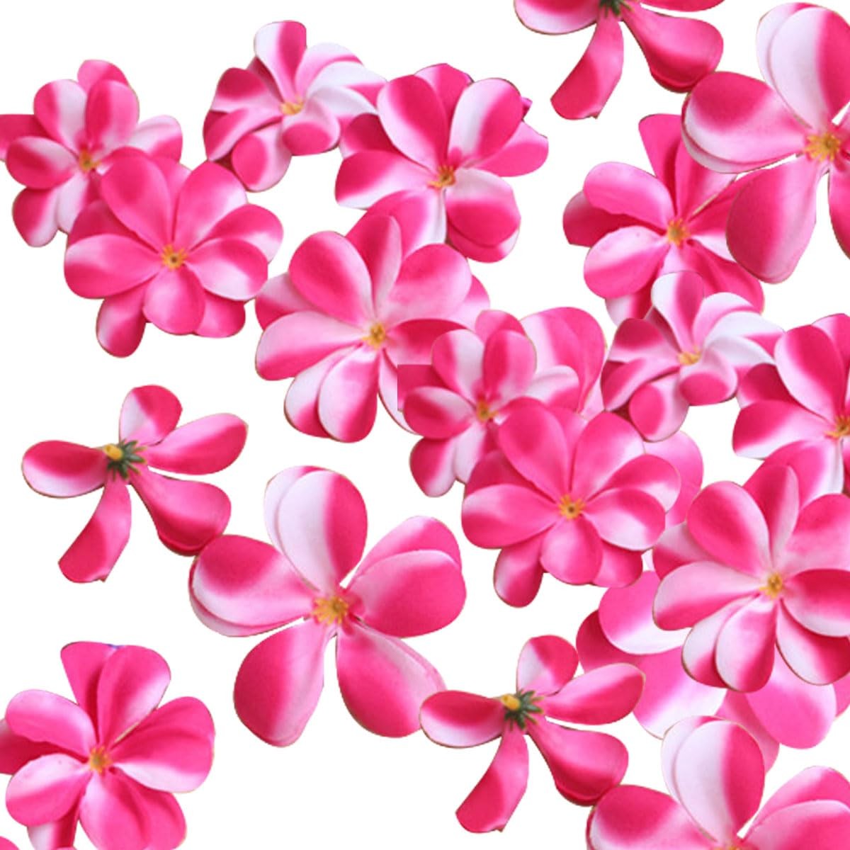 120 Pcs Artificial Plumeria Rubra Hawaiian Flower Petals Silk Flowers for DIY…
