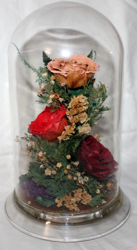 Natural Expressions – Real Freeze-Dried Rose Floral Arrangement in 8″ Glass Dome